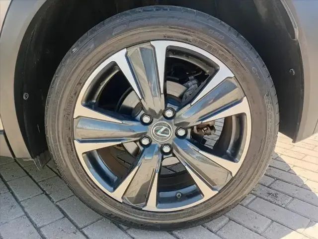 Lexus UX-250h Luxury 2.0 16V Aut.(hybrid), foto 14 de 14