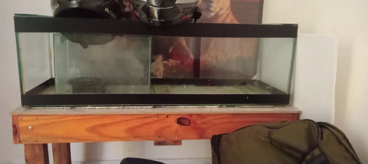 Aquario 100 litros 