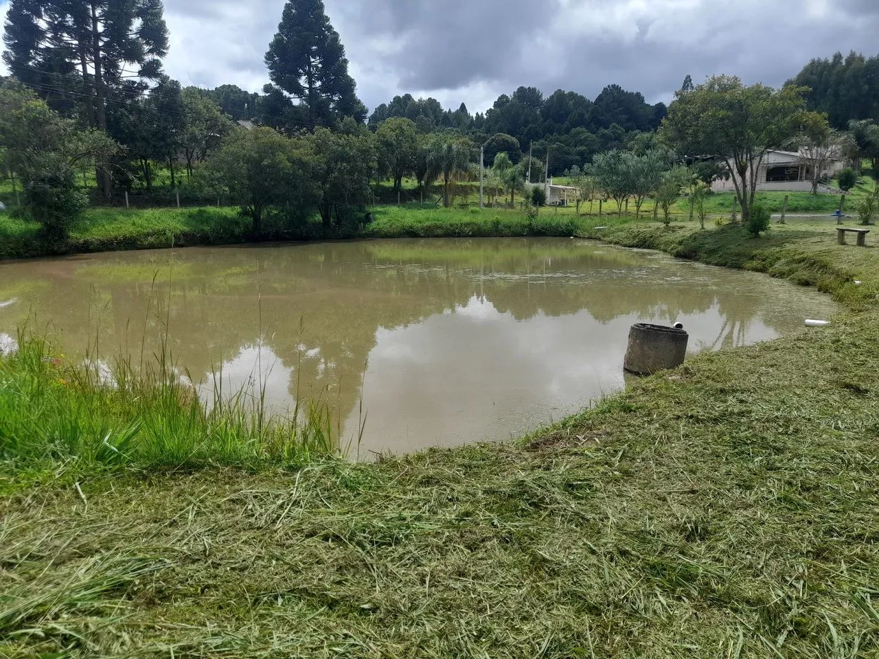 Chácara com tanque em mandirituba  - Foto 3