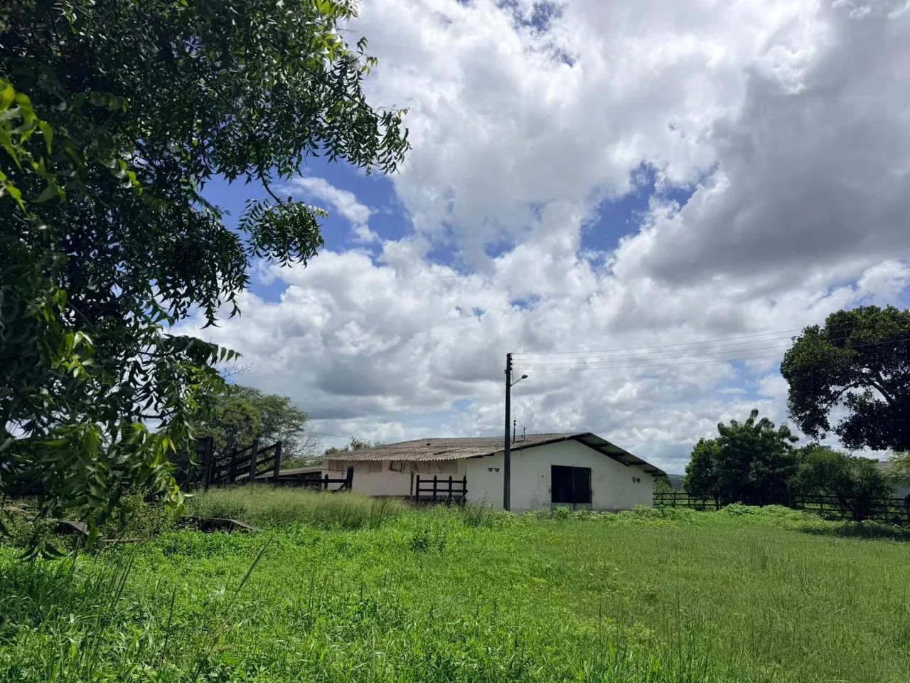  ÁREA 23HA NA BR232 VITÓRIA S.ANTAO. - Foto 2
