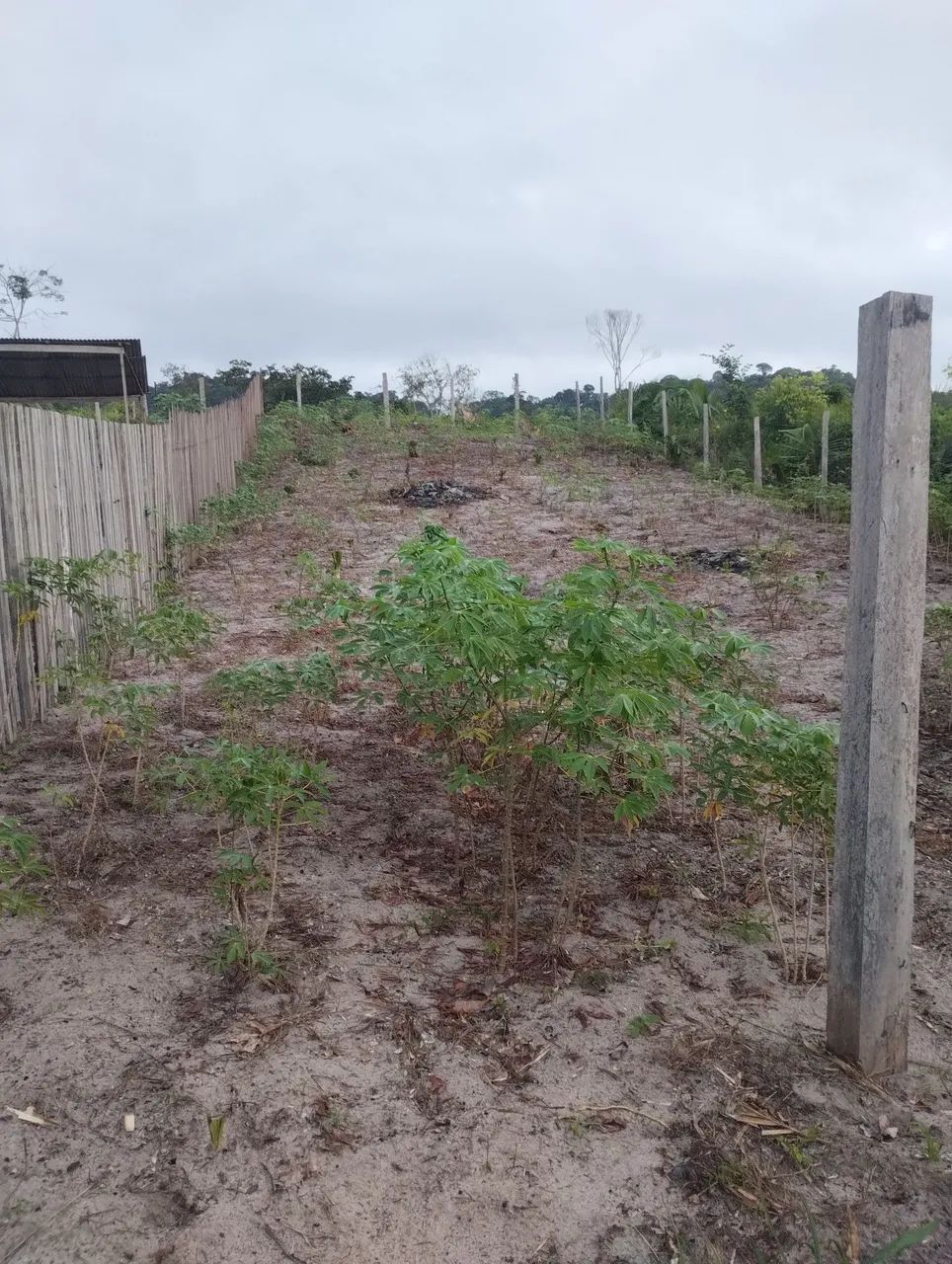 Terreno a venda
