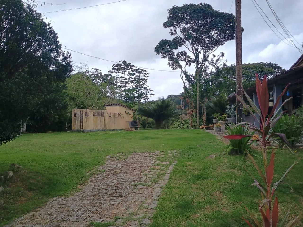 Linda Fazenda Amaraji/Primavera - Foto 3