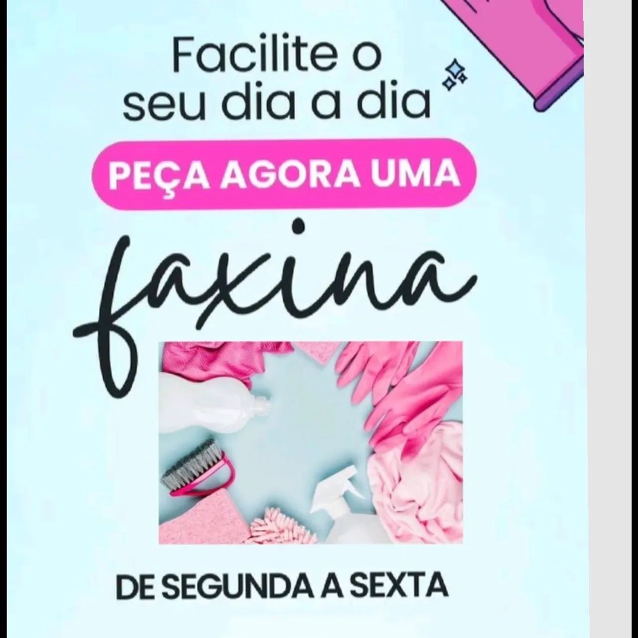 Diarista faxina ?