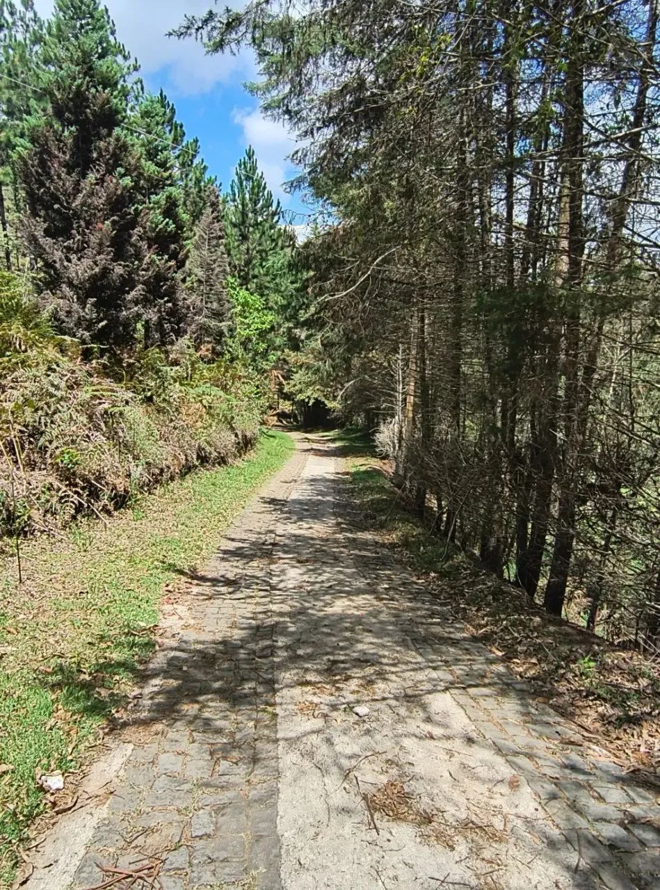 Terreno em Arace, Pedra Azul. - Foto 5