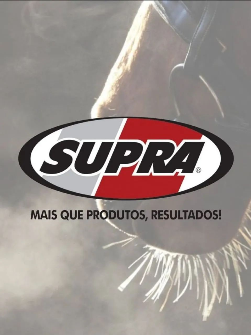 Ração para Cavalo SUPRA - Foto 6
