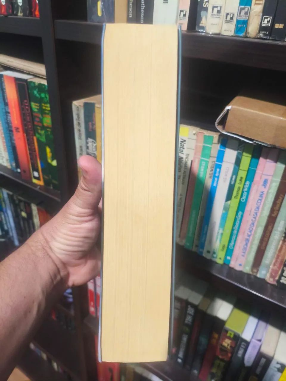 LIVRO O TERROR - DAN SIMMONS  - Foto 4