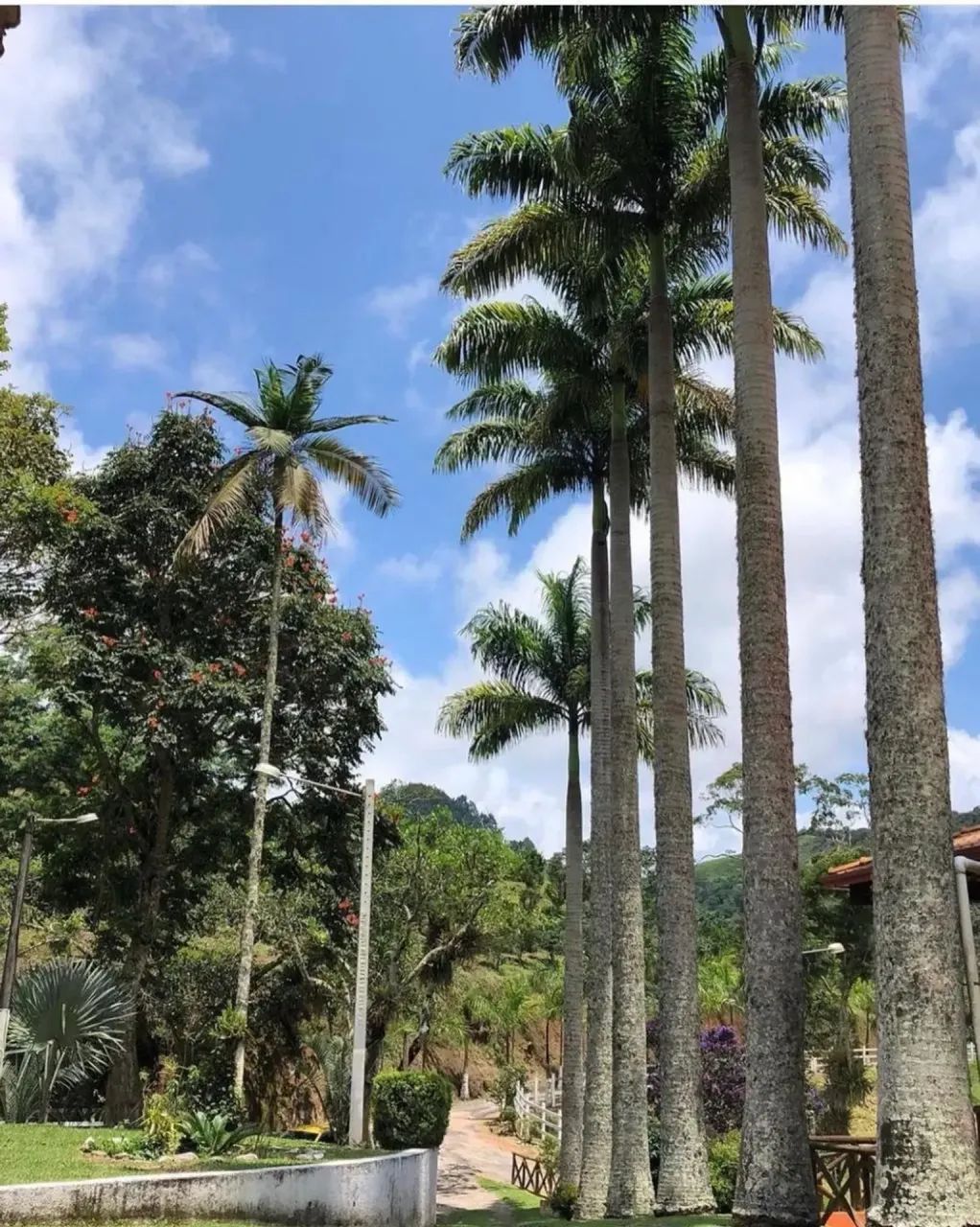 Sítio em Teresópolis