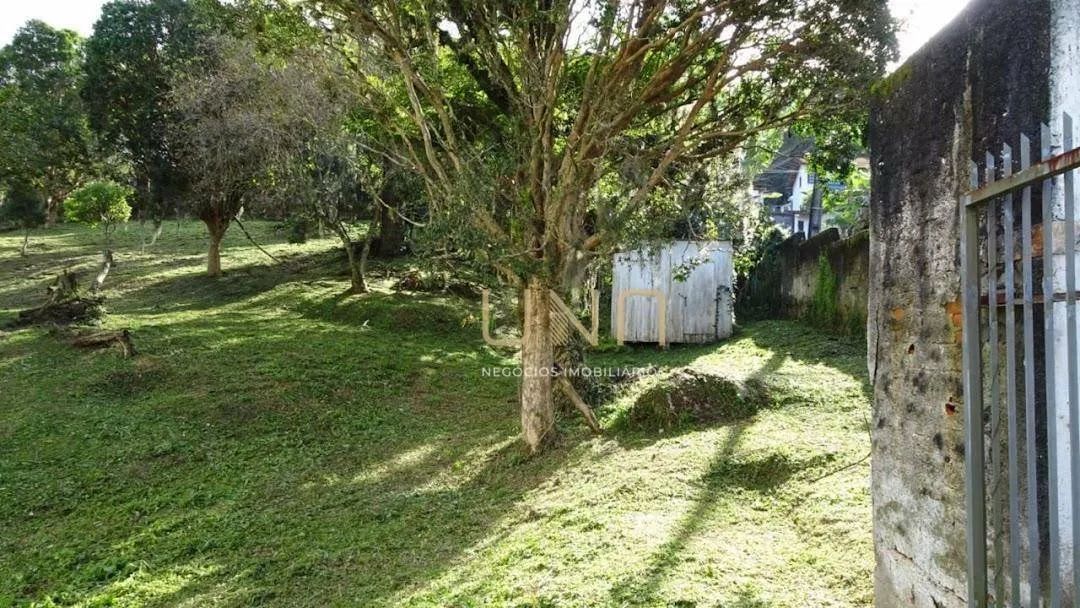 Terreno Residencial à venda, Itacorubi, Florianópolis - TE0029. - Foto 5