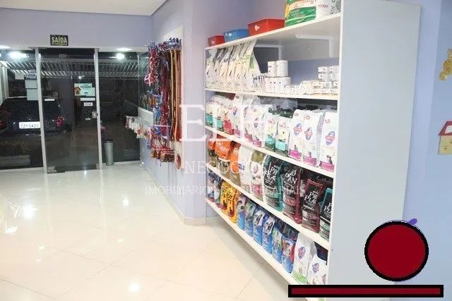 Pet Shop e Clinica Veterinária - São Caetano - Foto 4