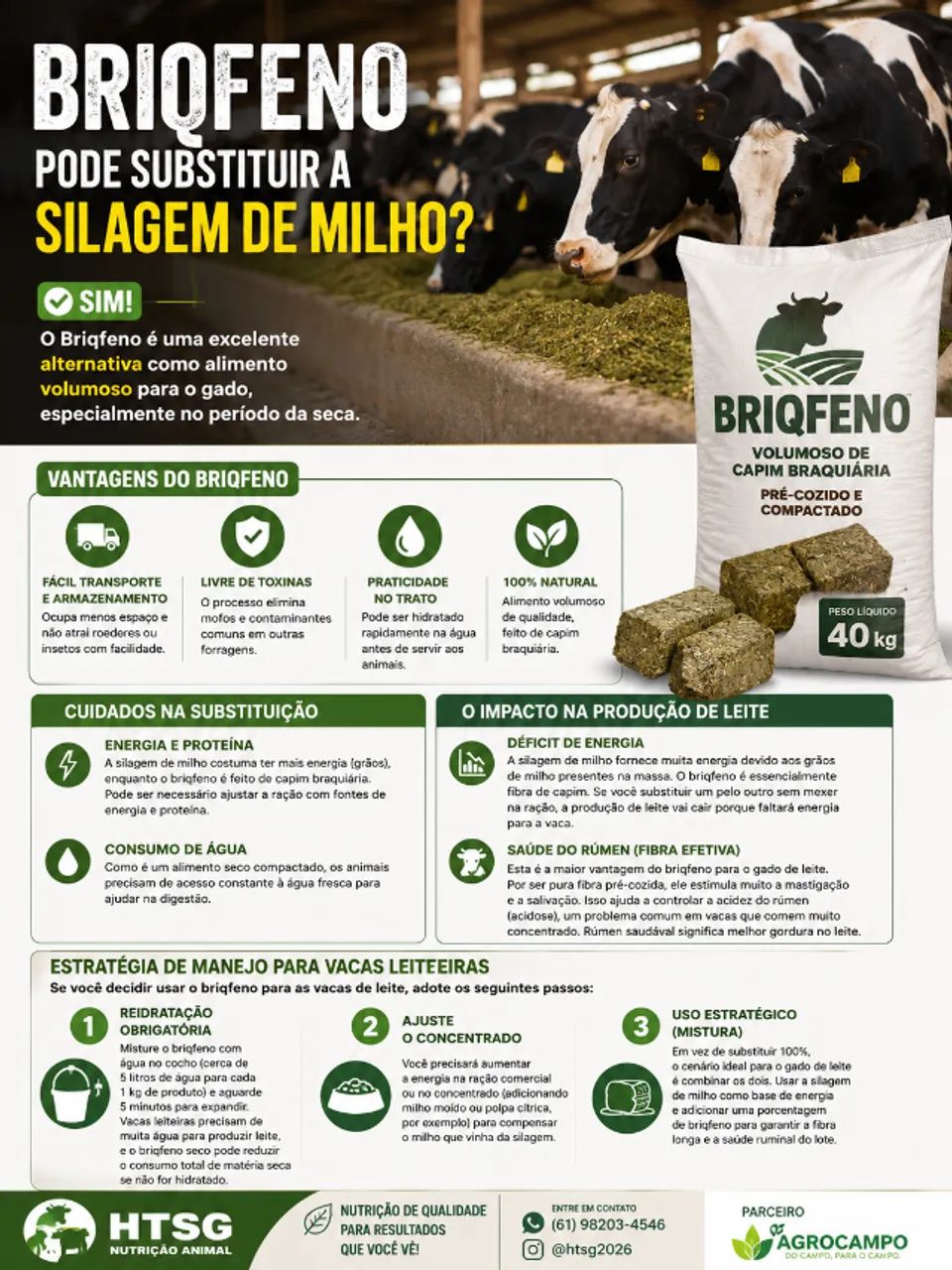 Briqfeno  - Foto 2