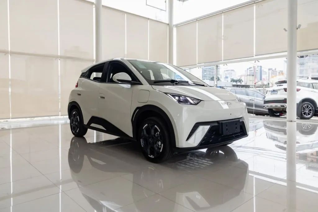 BYD Dolphin Mini (Elétrico) 2027