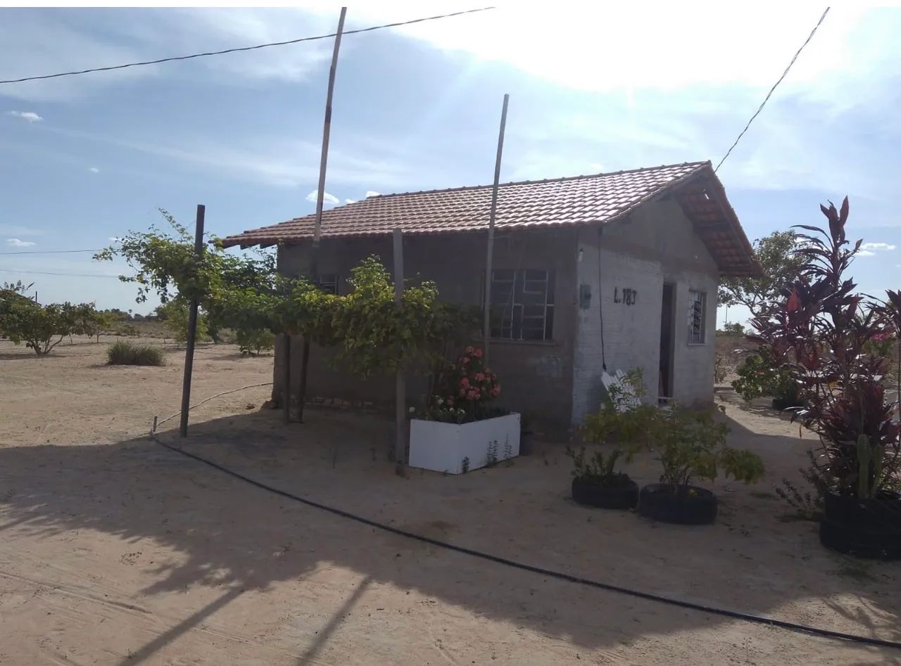 OPORTUNIDADE ÚNICA - VENDA DE 2 PROPRIEDADES RURAIS EM RORAIMA . - Foto 2