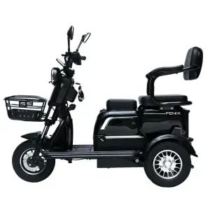Triciclo Elétrico 750W, Aro 8", Dois Assentos Cadeiras Ré Alarme Bagageiro Fenix Preto 