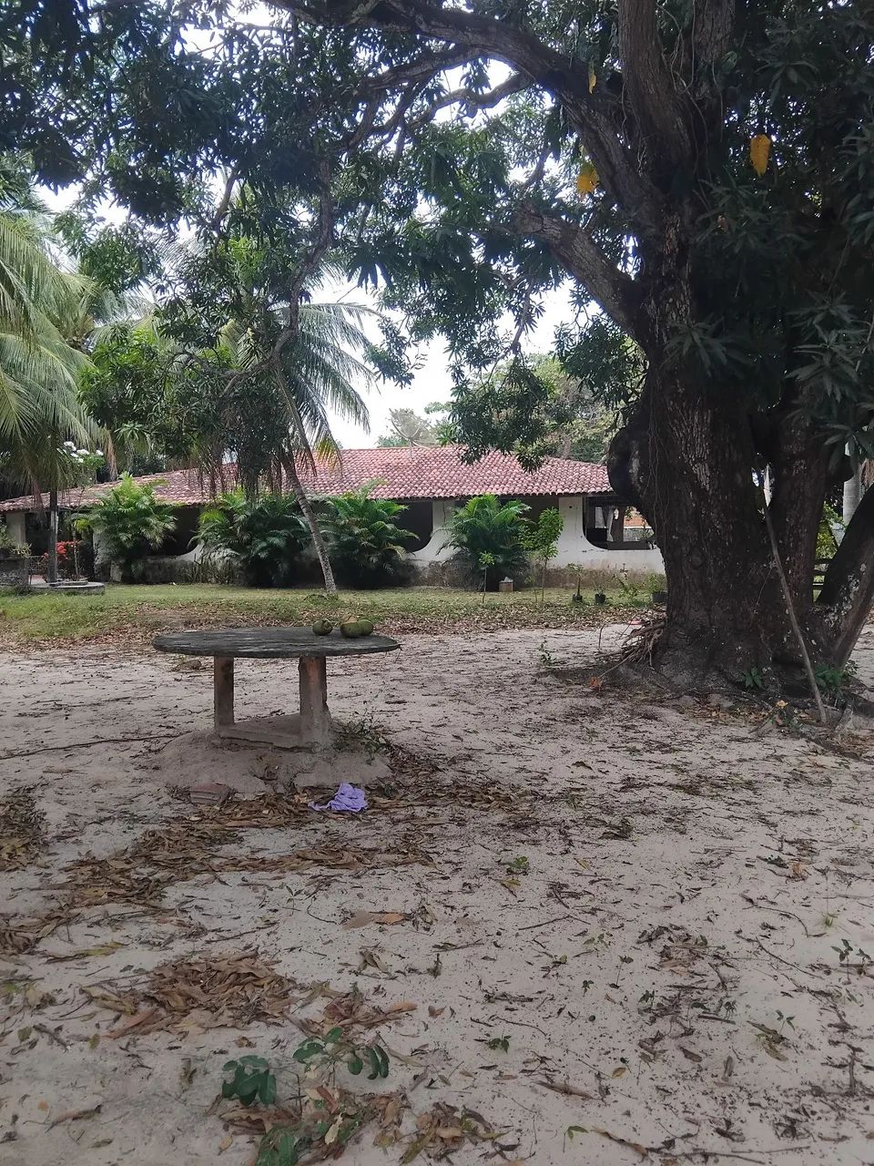 Sitio/Terreno  - Foto 4
