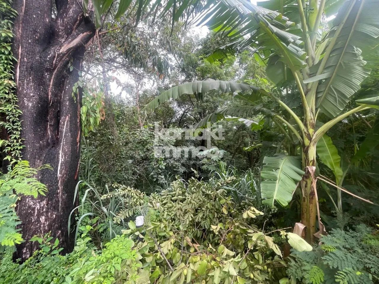 Terreno à Venda, Éden - Sorocaba - Foto 5