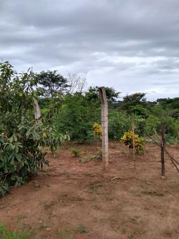 Chacara a venda 2,700 mt coleção de frutas mais de 200 especis dentro da cidade