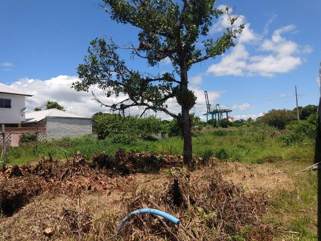 Terreno Próximo ao Porto de Itapoá - Foto 6