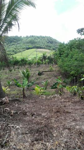 Sítio dos sonhos seu pedaço do Paraíso com 7 hectares por 150 mil