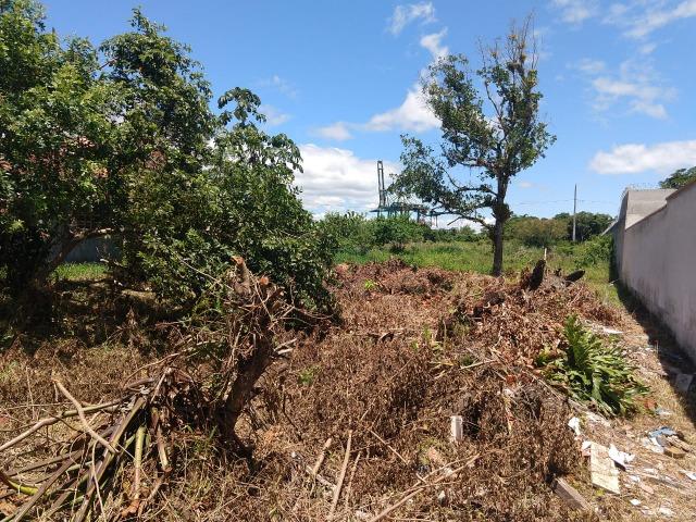 Terreno Próximo ao Porto de Itapoá - Foto 11