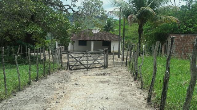 Linda Fazenda em Joaquim Gomes 60 hectares apenas 750 mil - Foto 4