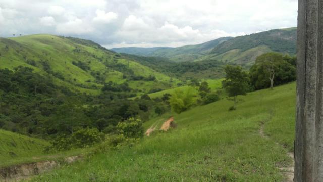 Linda Fazenda em Joaquim Gomes 60 hectares apenas 750 mil - Foto 18