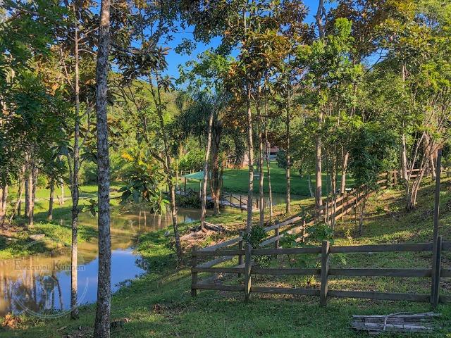 Lindo Sítio com Vista Incrível a 5,3km da BR 282 em Caldas - Foto 14