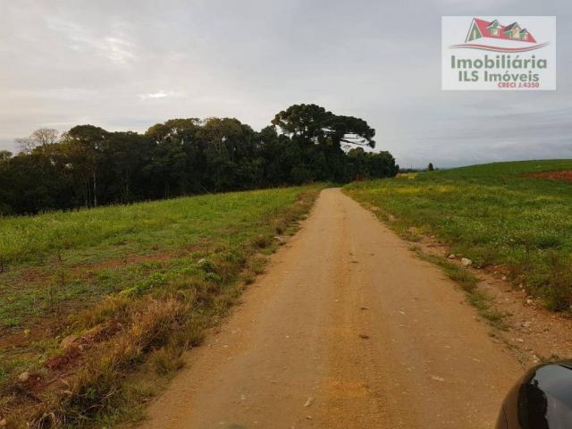 Chácara serrinha - Foto 7