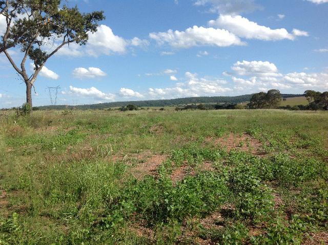 Chácara 3 alqueires e 75 litros,curral,represa,casa,3 alqueires arrendado para planta. - Foto 15