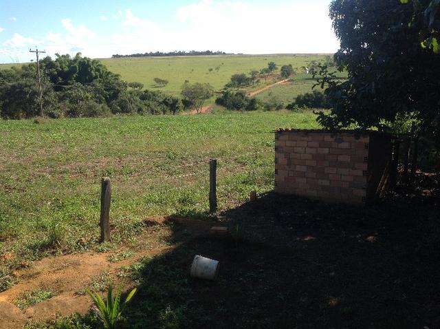 Chácara 3 alqueires e 75 litros,curral,represa,casa,3 alqueires arrendado para planta. - Foto 16