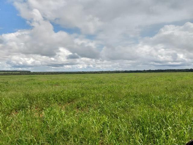 2.400 Há em Lavoura. S.J Xingu-MT - Foto 3