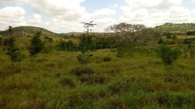Propriedade de 7 hectares, escriturada, em Dois Leões-PE! - Foto 11