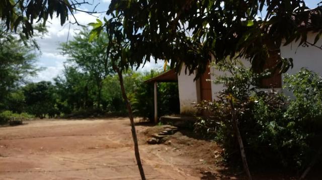 Propriedade de 7 hectares, escriturada, em Dois Leões-PE! - Foto 2