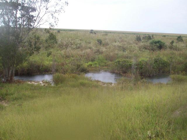 Cód. 5284 - Sítio em Cocalzinho de Goiás - Foto 9