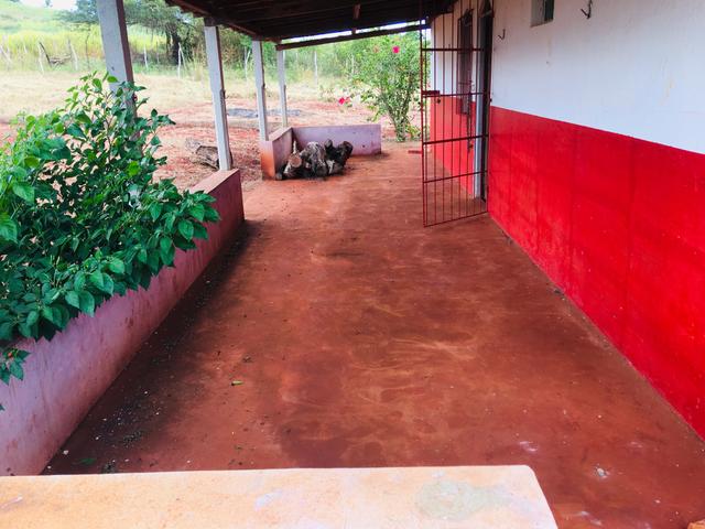 REALISE SEU SONHO CHÁCARA COM 2 Tarefas e 2 Casas - Foto 2