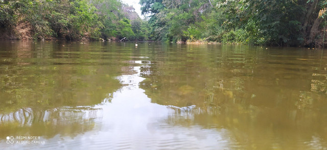 LOTES COM ACESSO AO RIO - Foto 9
