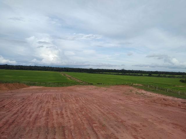 Vendo Fazenda Rondônia - Foto 2