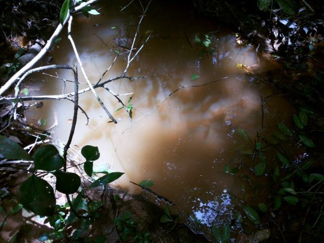 Terreno em três maria com nascente no fundo do terreno - Foto 4