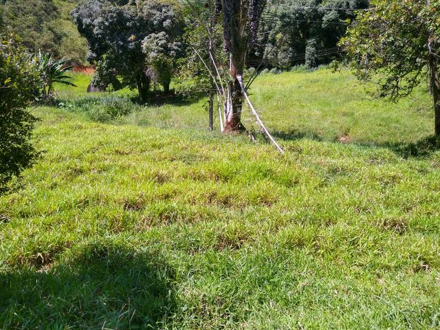Fazendinha 10 Alqueires Santa Leopoldina - Foto 18