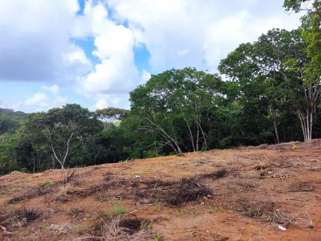 Lote/Terreno para venda tem 3.800 metros quadrados. - Foto 2
