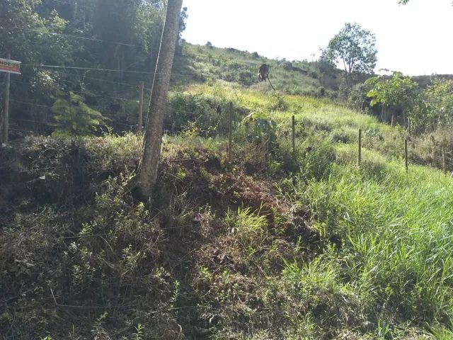 Terreno no Pitangueiras  - Foto 3