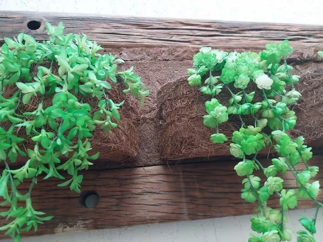 Jardim vertical - quadro 3 xaxins  - Foto 2