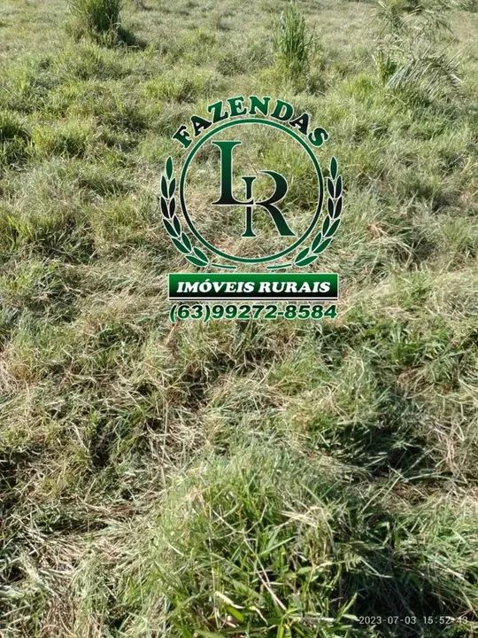 Chácara 10 Alqueires - Foto 3