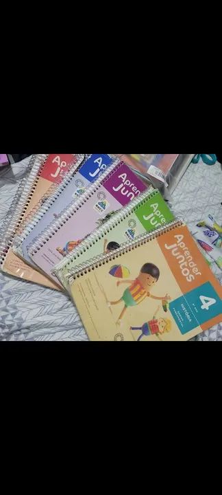 Livros Aprender Juntos - 4 Volumes
