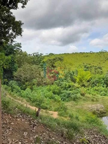 Vendo Fazenda com 385 Hectares - Foto 3