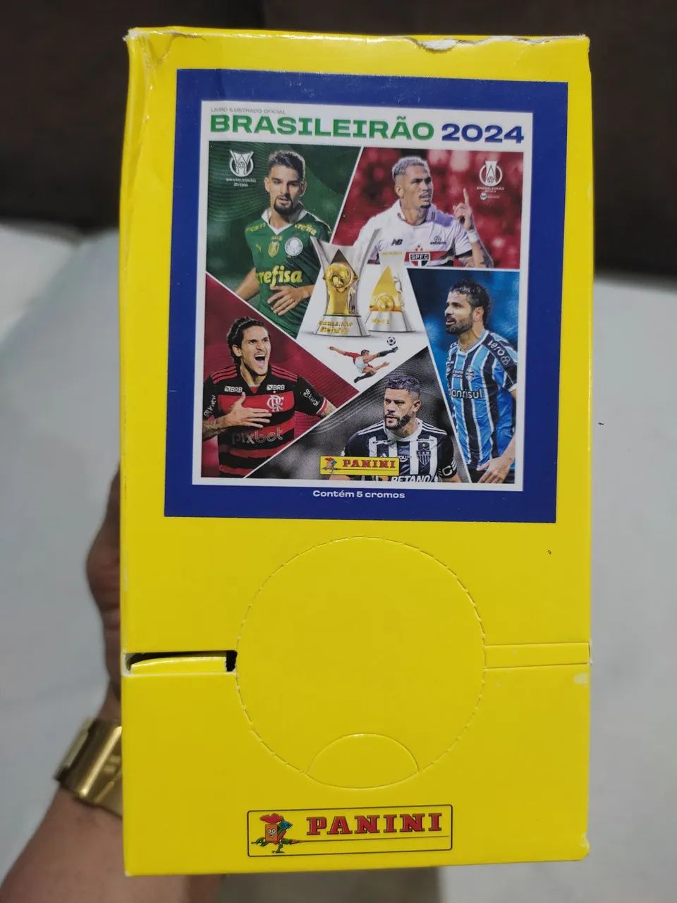 Box de figurinhas 64961612584579120