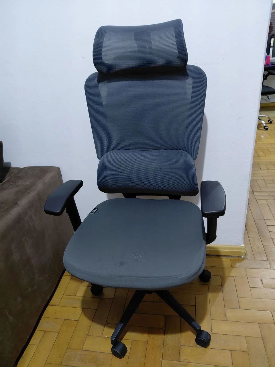 Cadeira Ergonômica 