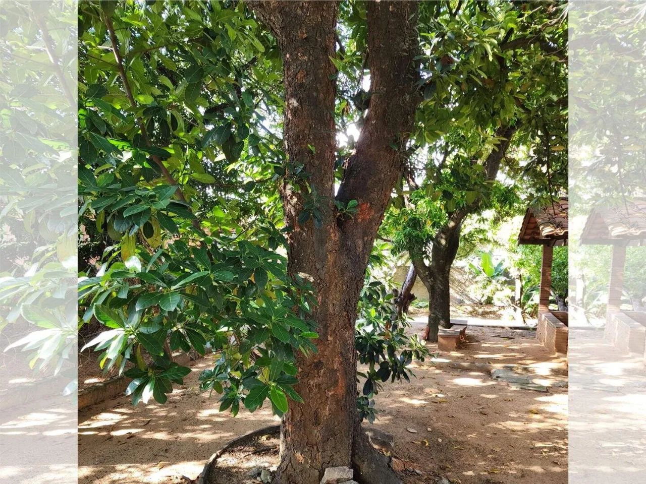 Chácara de 1200 m² com excelente localização toda arborizada na Vila Barcelona em Sorocaba - Foto 14