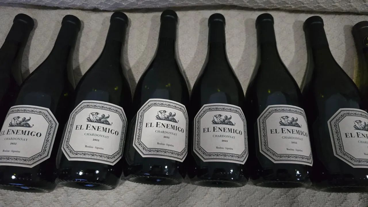 Vinhos Argentinos Branco de Alta Qualidade!