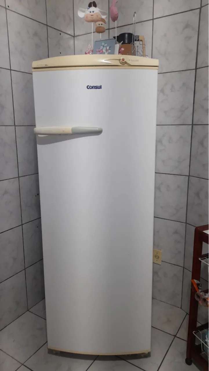 Geladeira Consul