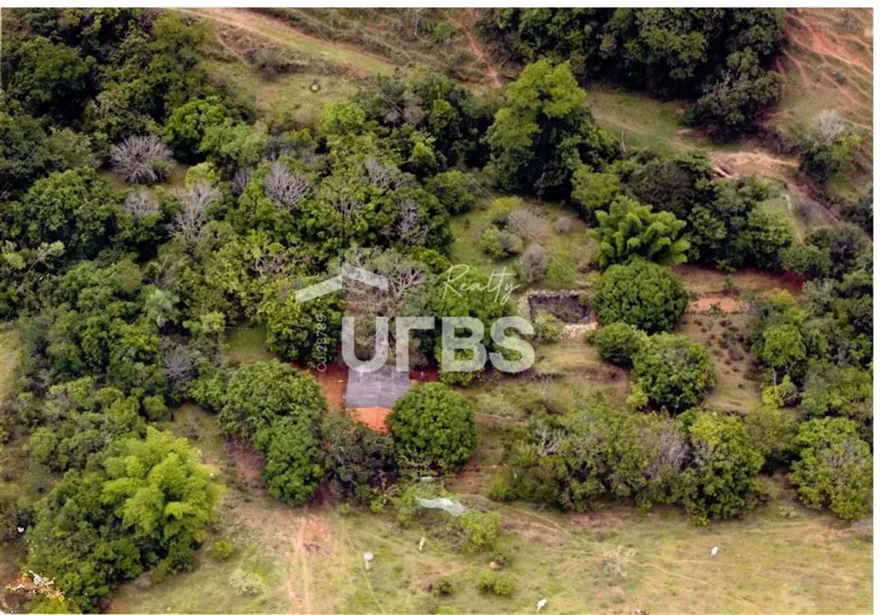Fazenda Ponte de Pedra a venda, localizada em Corumbá de Goiás  tradição, abundância hídri - Foto 5